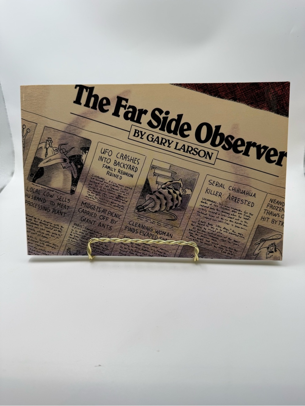 The Far Side Observer by Gary
Larson